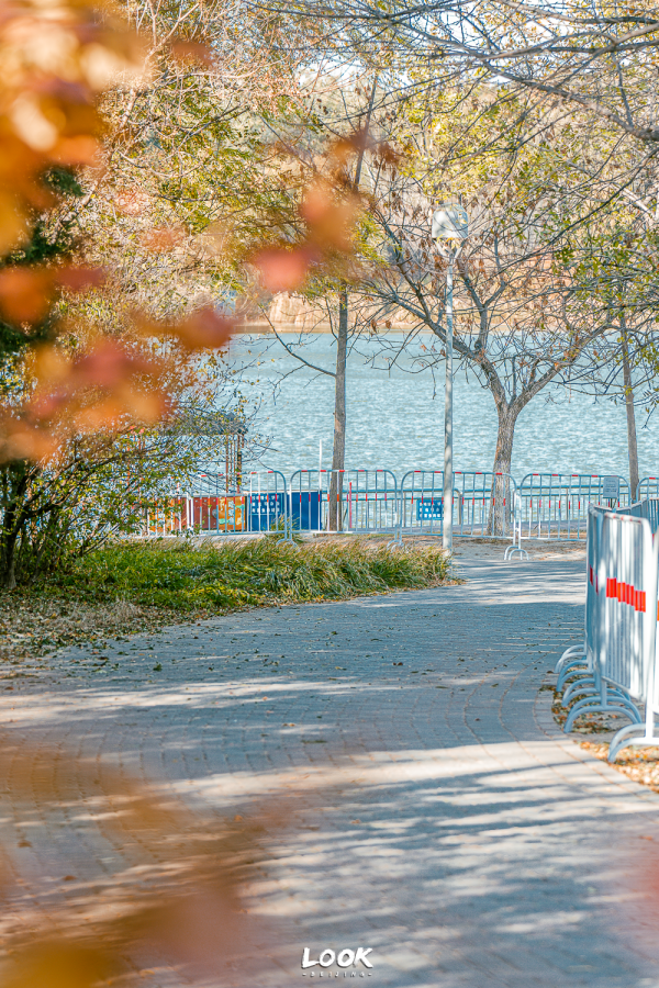 Ninegame九游体育从南门进交通：可乘坐八号线到奥林匹克丛林公园南园站*本文图片拍摄于11月16日吃货们王人在看“微 胖 是 最 好 的 身 材”-九游体育(中国)官方网站 登录入口 IOS/安卓